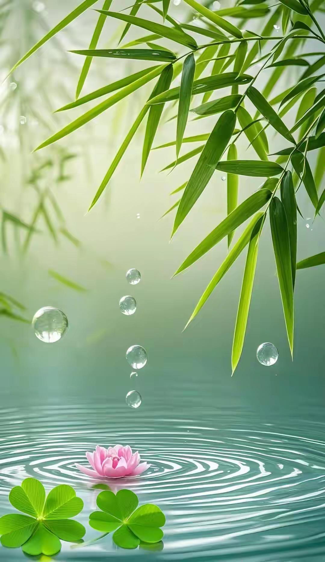 从臃肿到轻盈，我的重生之旅

曾经，我是个被肥胖紧紧束缚的人。身高 165 厘米