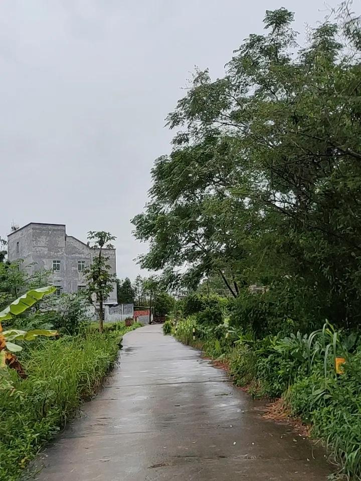 乡下路上的风景，就像一幅徐徐展开的绝美画卷。
在江苏南京溧水区东屏街道爱廉村，晨