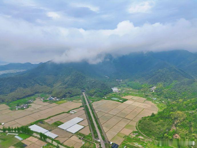 实干实绩台州乡村处处是新景 从章安的稻田到洪家的礼堂，椒江以实干绘就乡村画卷！高