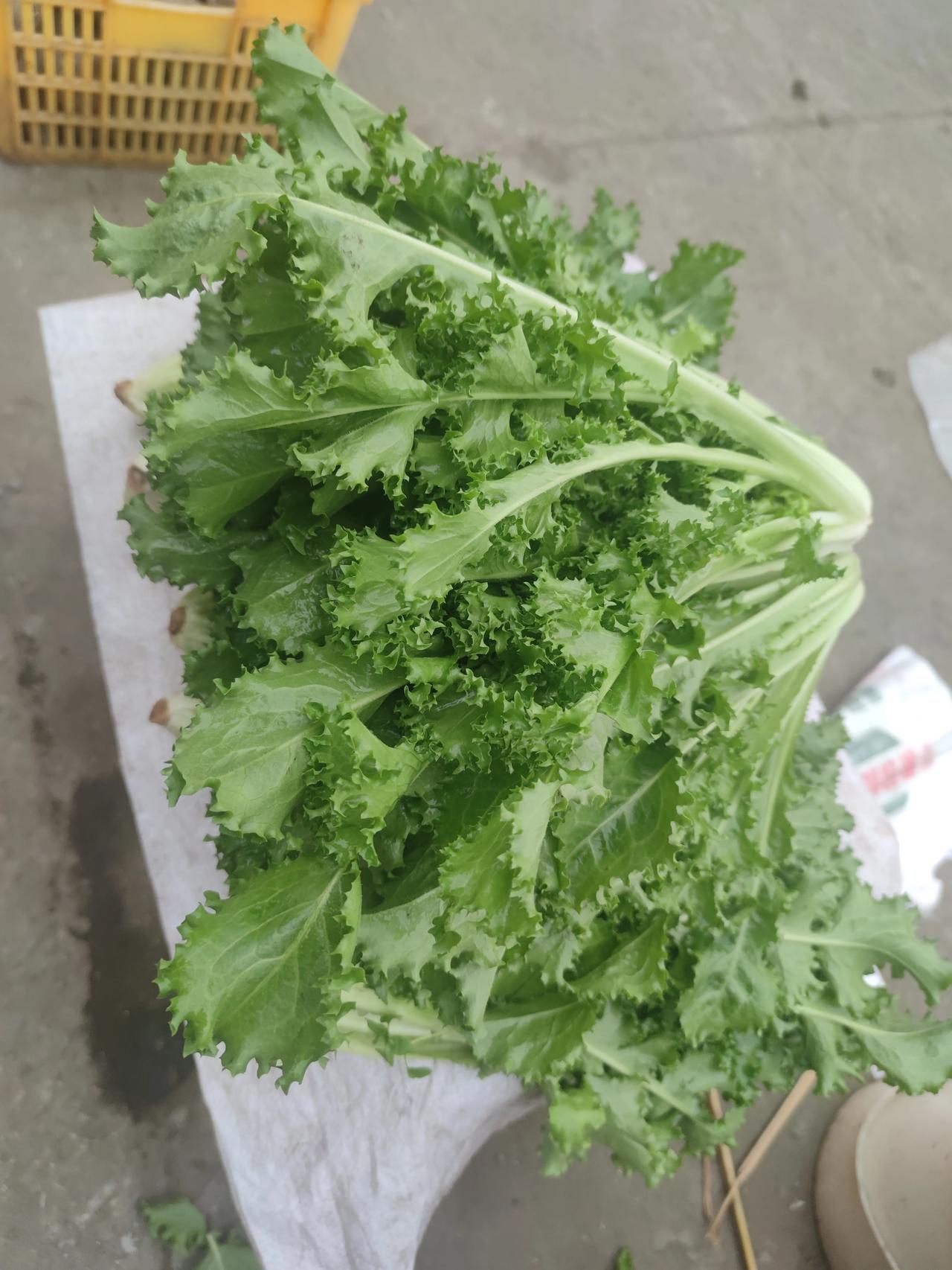 这是什么菜？没见过#今天的菜长这样# #农村来的蔬菜# #这里的菜更新鲜#
