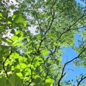 早安语录 𝓖𝓸𝓸𝓭 𝓜𝓸𝓻𝓷𝓲𝓷𝓰🌞 快乐三件套：不纠结