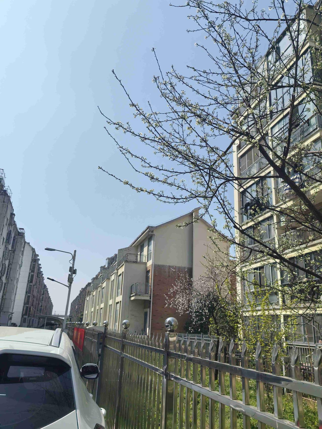 带定位晒今日生活 今天状态超轻松愉快！我在鄂州的小区，天气那叫一个好，大晴天，阳