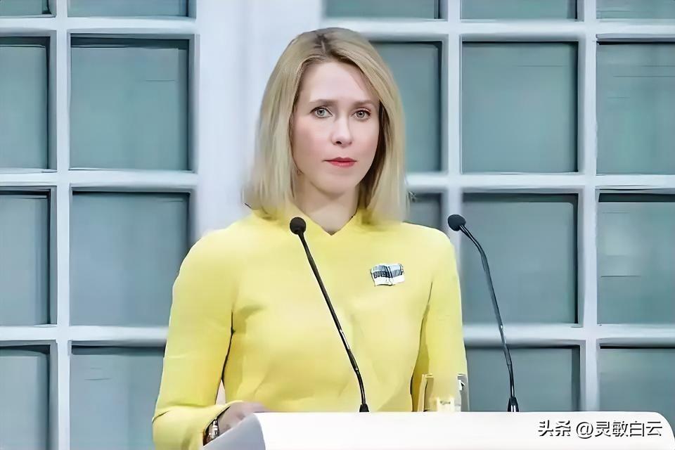 欧盟最新消息
3月1日，欧盟外交与安全政策高级代表卡拉斯突然宣布，将向红海护航行