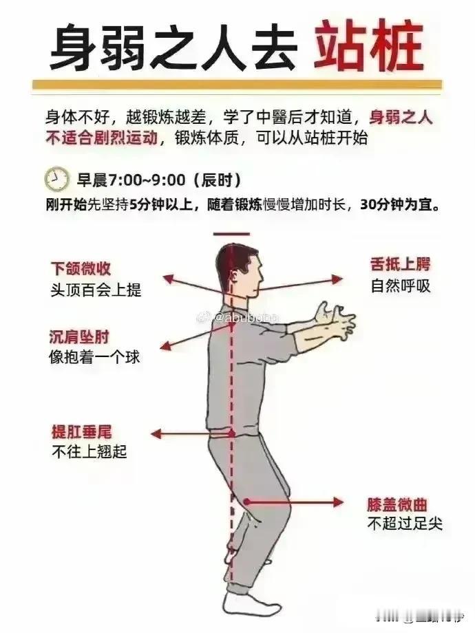 站桩养生，身弱之人的锻炼之道

在繁忙的都市生活中，我们时常为了健康而奔波于各种