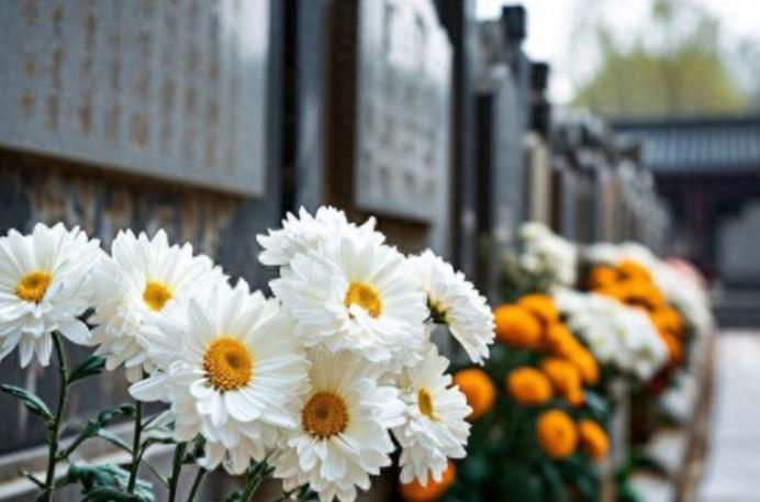 新的殡葬制度将于 2026 年 3 月 30 号执行，大概意思就是：一切从简，城