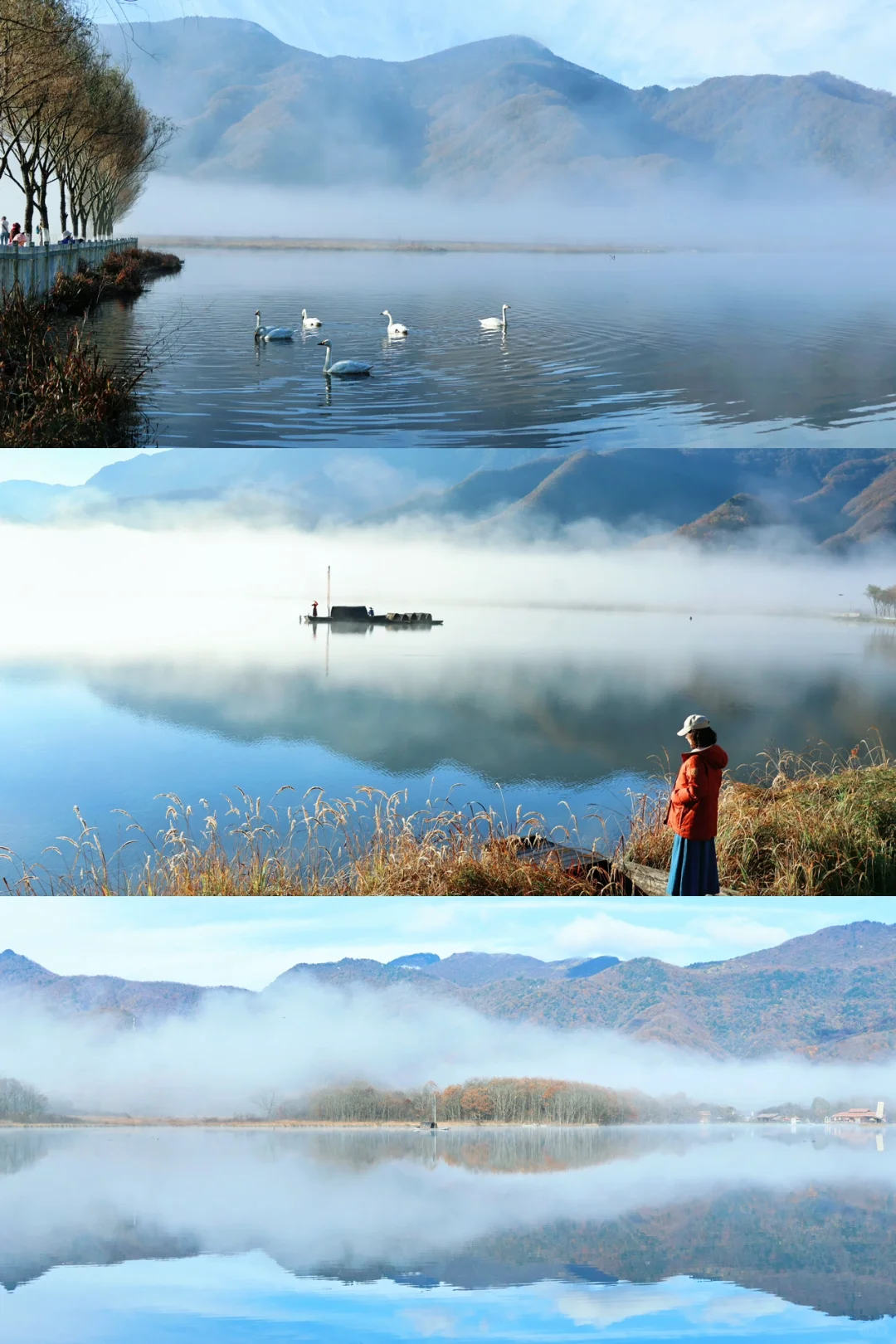 湖北zui 美秋景！神农架徒步美哭我！放心冲！