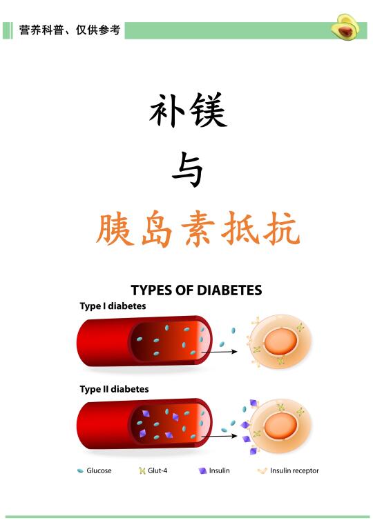 补镁与胰岛素抵抗