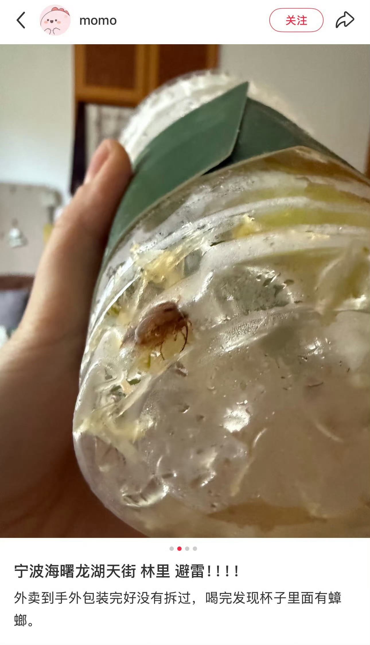 宁波有网友称在一家柠檬茶疑似喝出蟑螂 刷到这，惊呆了😱这是蟑螂吗？都快喝完了商