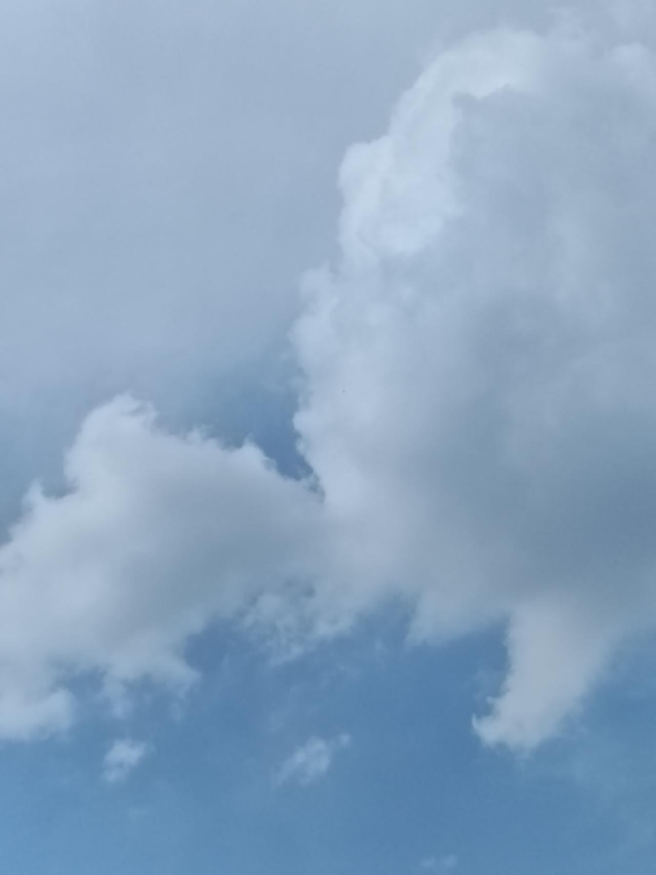 随手拍张照大块蓬松白云浮在澄澈蓝天，寻常屋墙静静衬着这片温柔天色，抬头放空，所有
