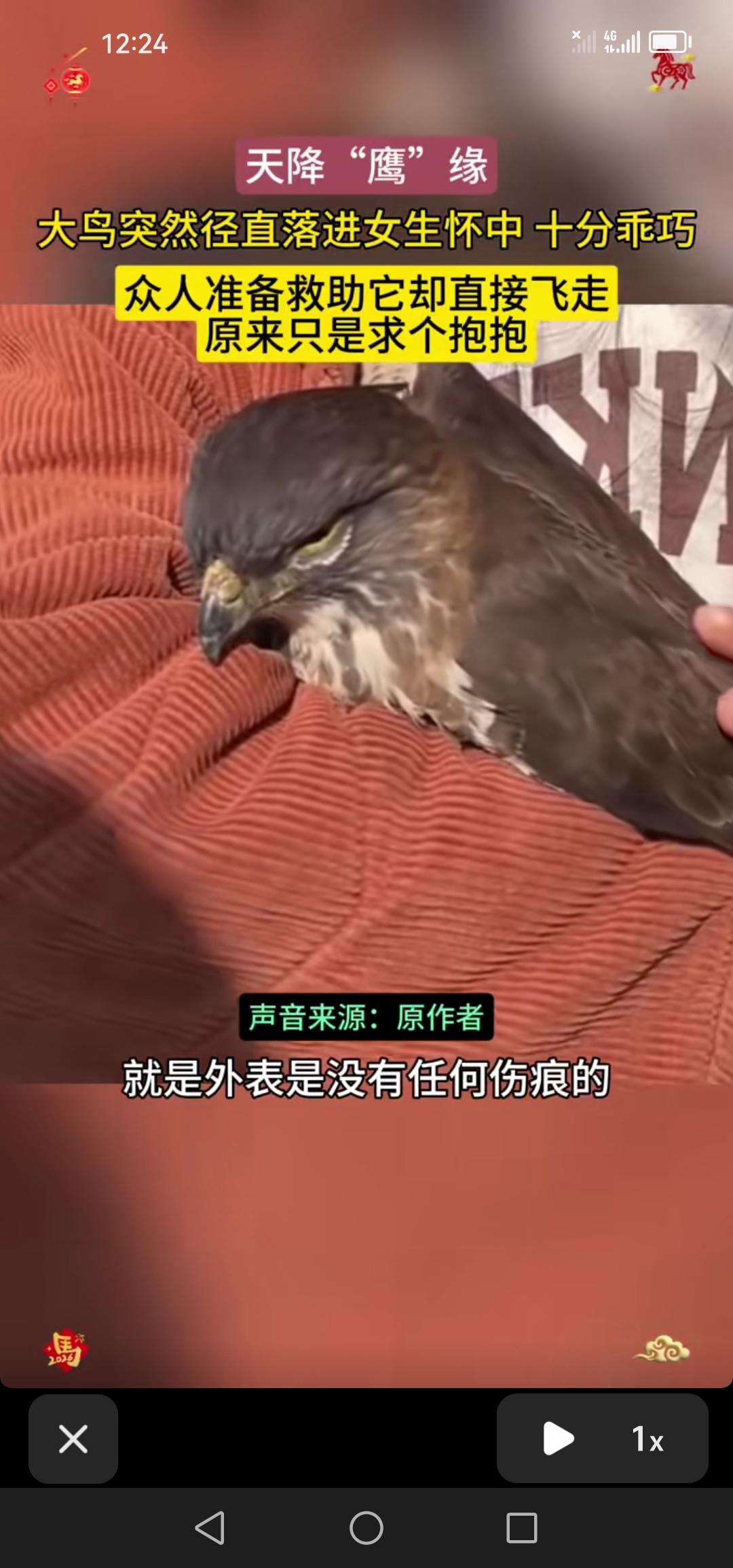 哇塞！雄鹰竟径直落入美女怀中求抱抱，抱够了便自行飞走啦！

今天刷视频时，我被一