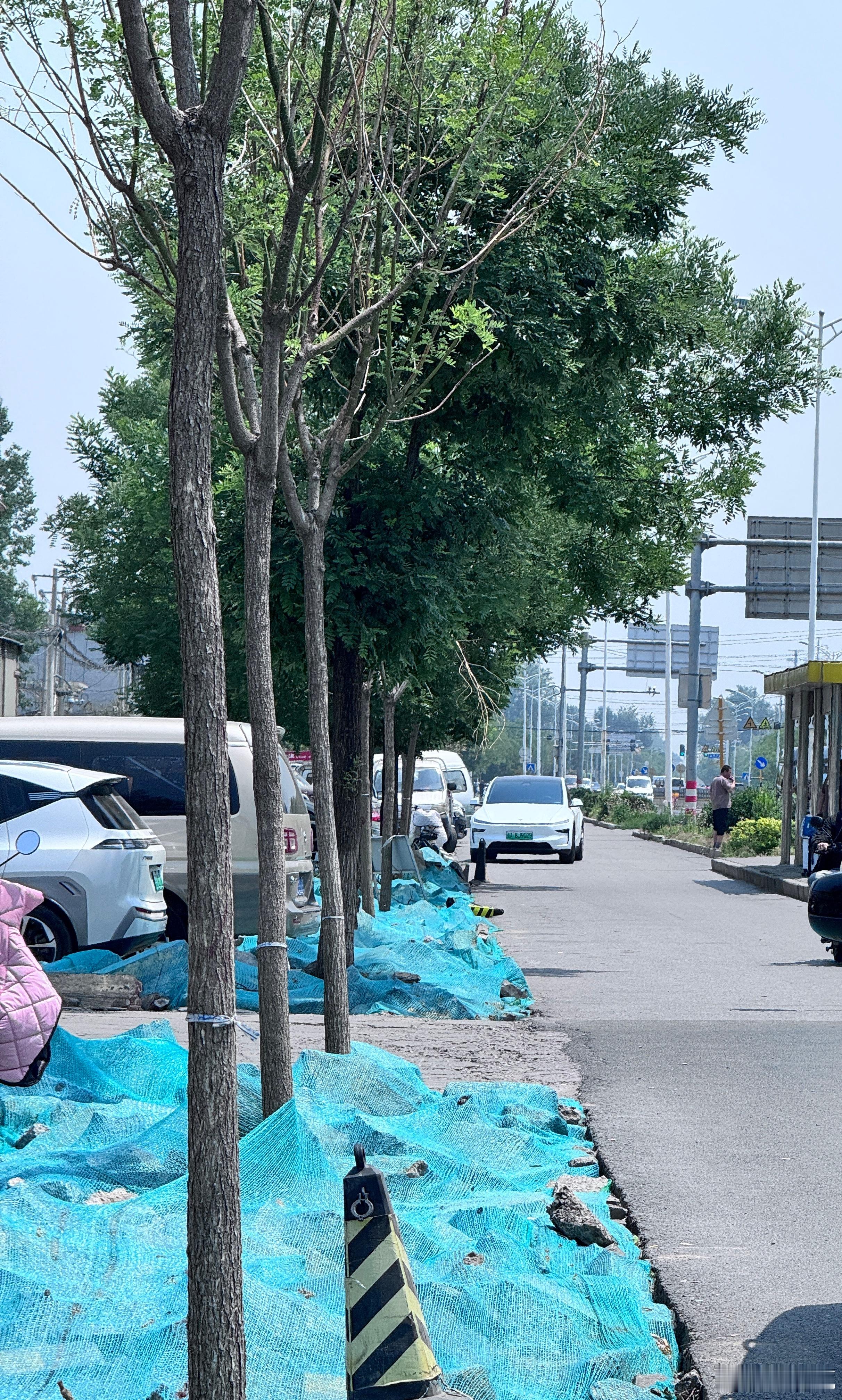 您的焕新model Y是很帅，但是这么停车确实不太地道啊。 ​​​