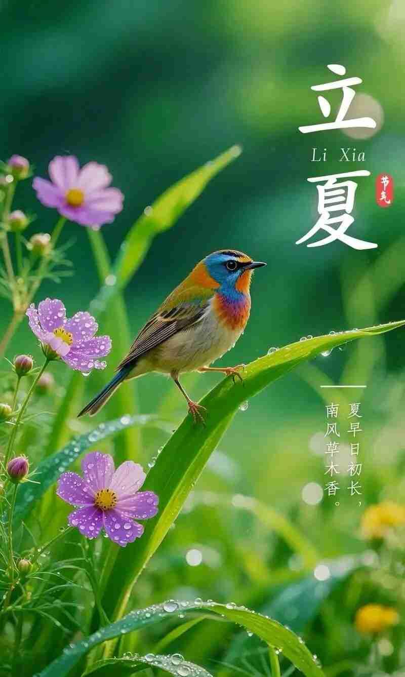 5月5日立夏，万物繁茂时，美好正发生，立夏快乐！


立夏，是我国传统的二十四节