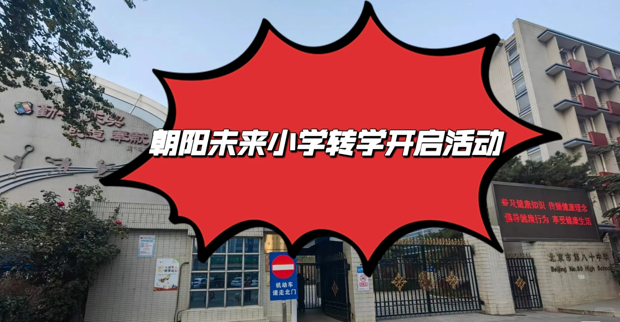 八十中国际部小学（朝阳未来）本周活动