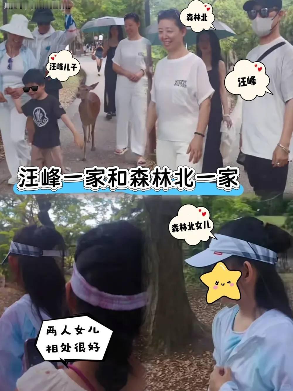 汪峰与森林北感情认真，已见双方父母，疑似有日本旅行计划。有网友偶遇森林北受伤买药