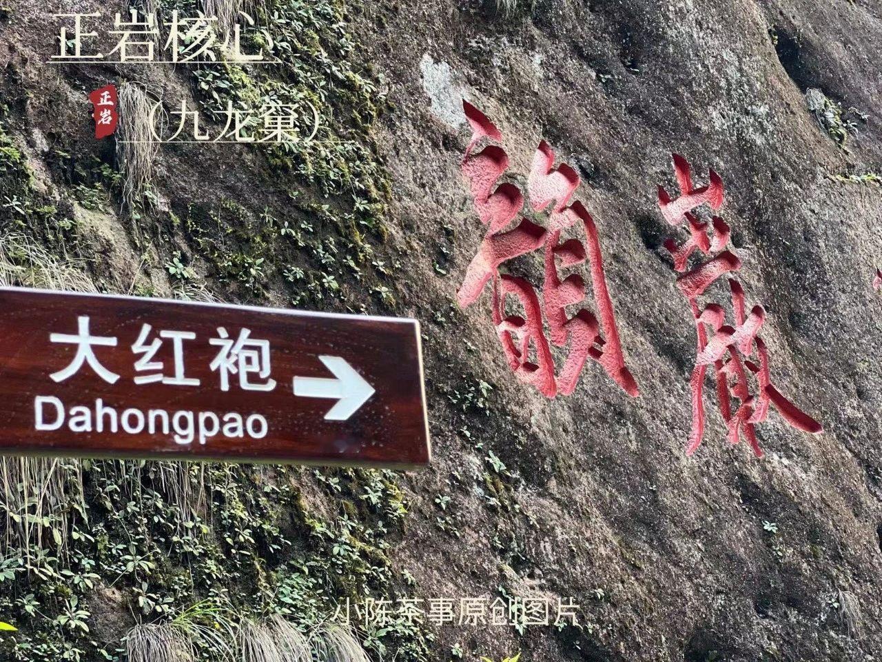 投保一个亿的母树大红袍什么来头？
母树大红袍，说的是那些生长在武夷山九龙窠峭壁上