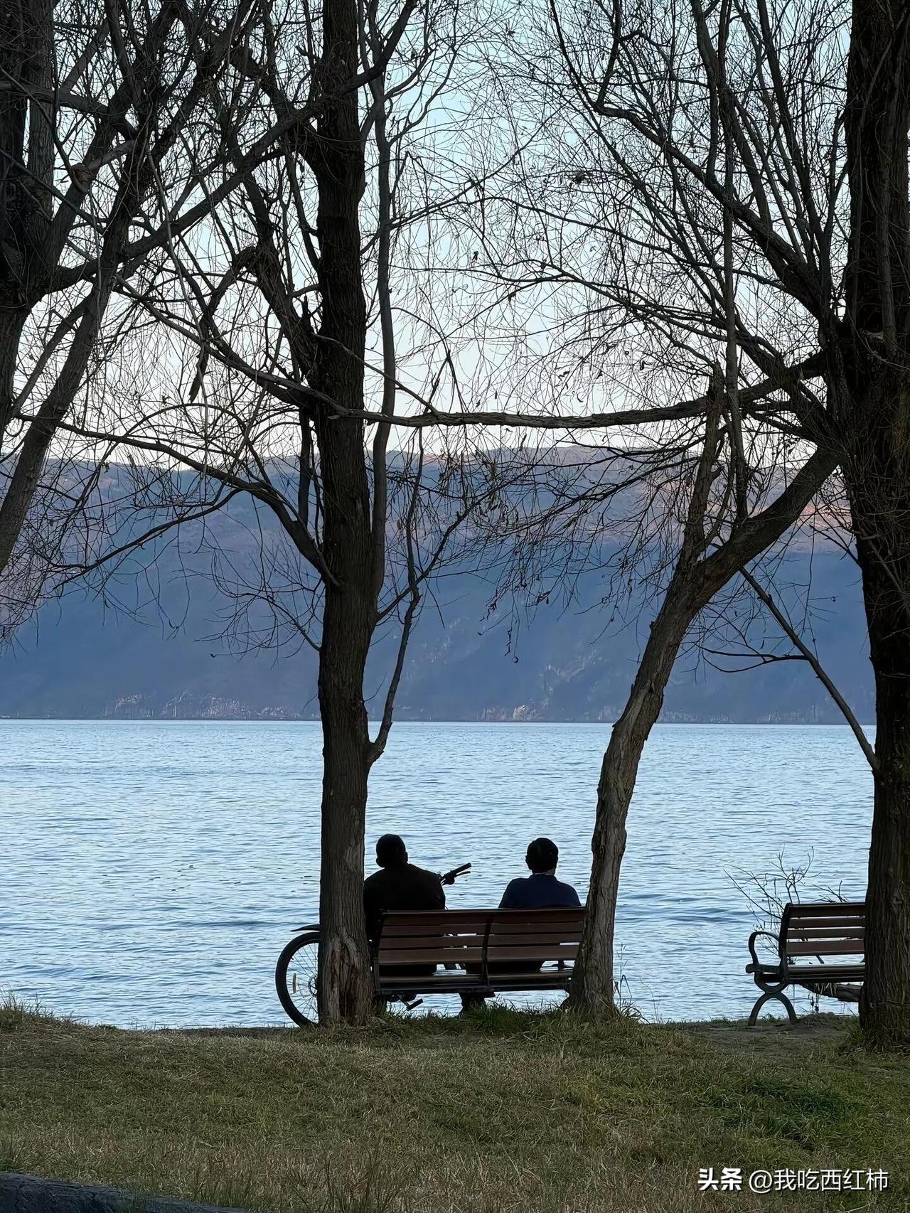 同居半年对女朋友彻底祛魅了
开学后我和姐姐每天各自焦虑。
中午我未处理牛肉，晚上