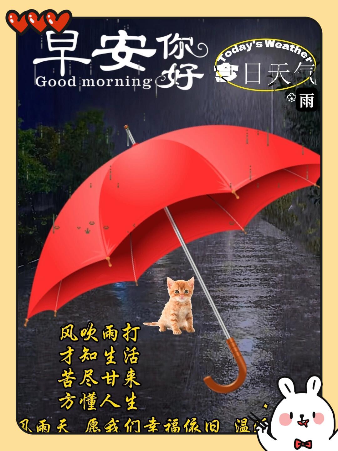 谷雨当日下起雨

[玫瑰][心][玫瑰]

谷雨当日真就下起了雨！“雨生百谷”，