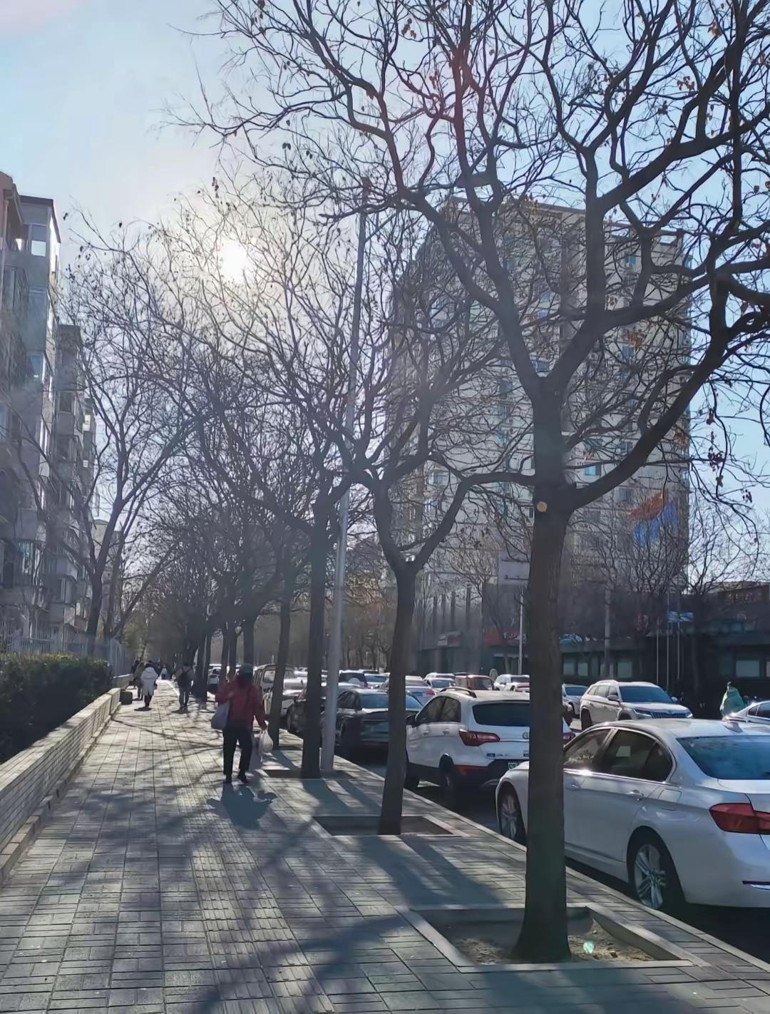 1月8日开启三九天！最冷18天怎么防冷？上班族保暖攻略收好
 
还有两天，1月8