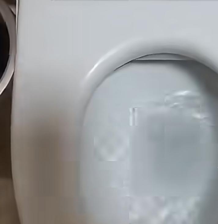 这趟厕所上的太贵了，
家里马桶一刻不停连冲17天，
业主过年回来惊呆，女子称：返