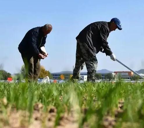 现在我们有一个非常矛盾的问题，都知道农民种地不赚钱，但粮食却不能涨价，因为粮食是