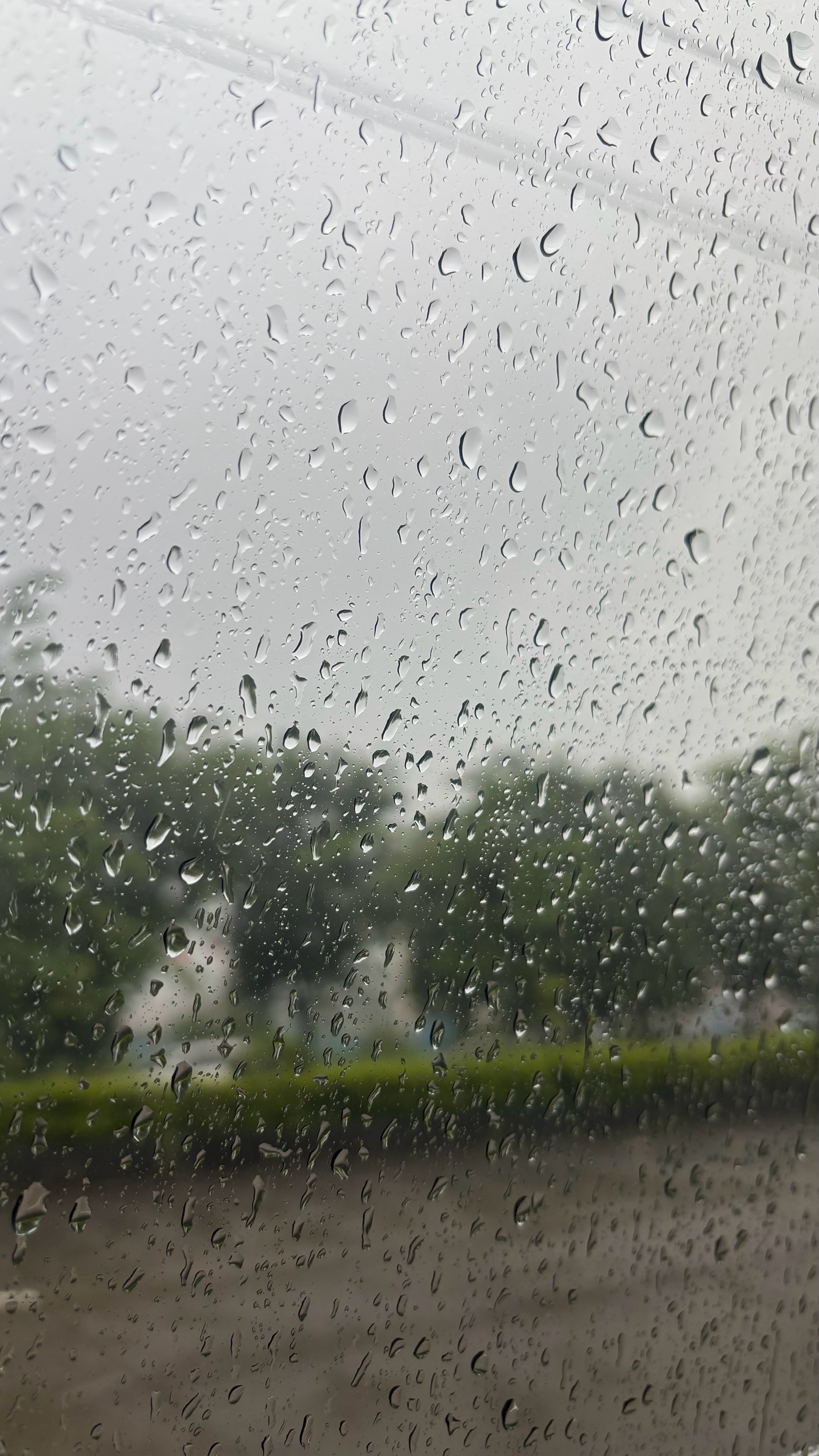 广东怎么一到周末就下雨啊 