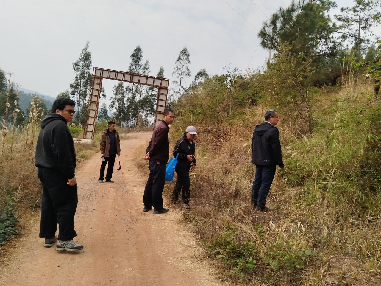 【大理白族自治州】巍山的初春
              （张树忠）
     