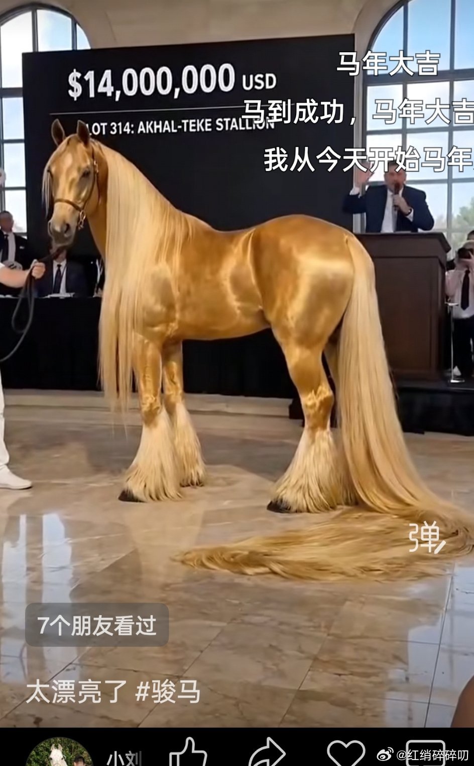 这马真的太太太漂亮了