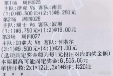 金哥世界杯推荐：025 ⚽️世界杯 捷克 - 南非🔆：34球🔅：2-1 3-
