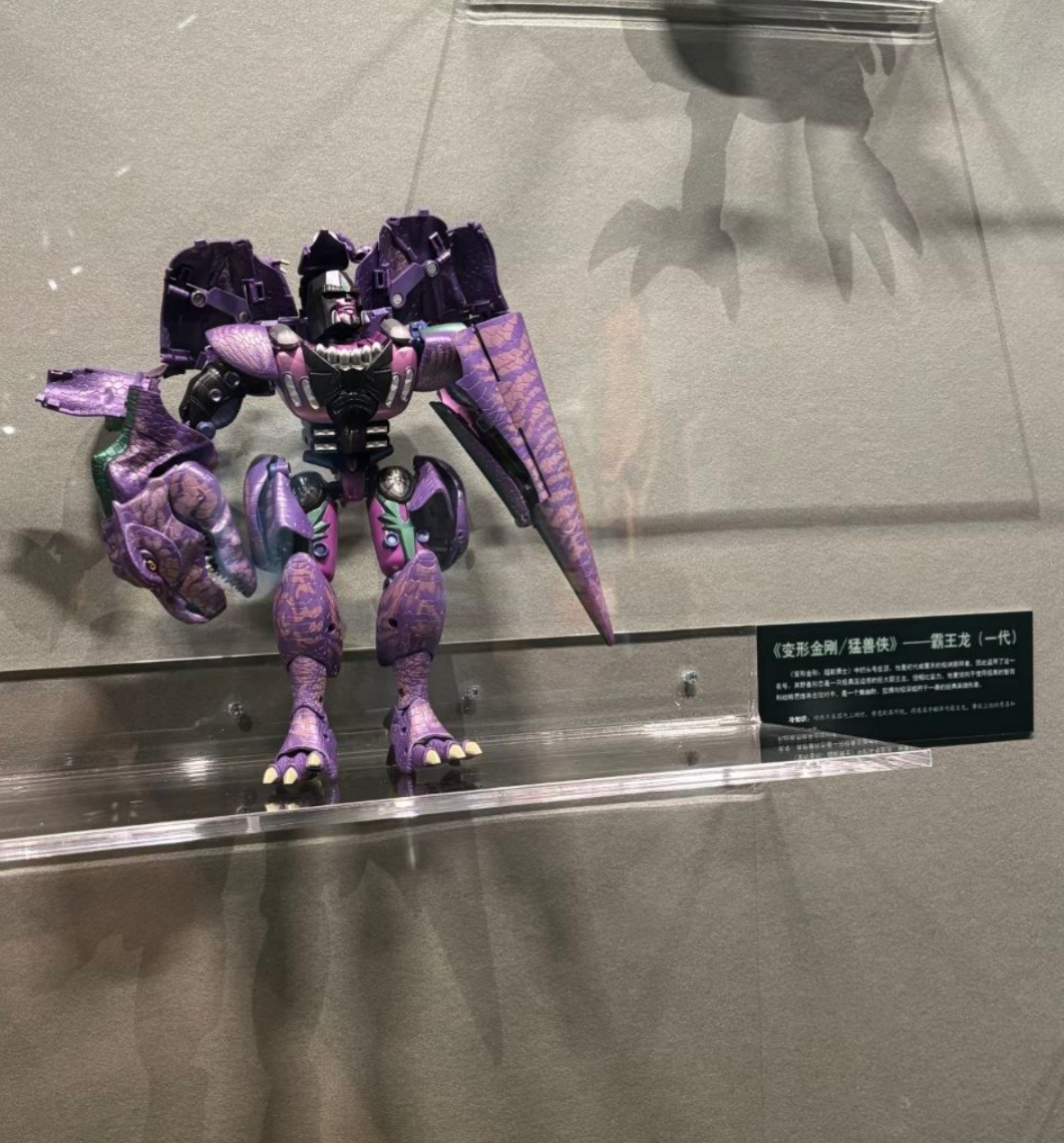 国家自然博物馆暴龙展，展品包括：你就说是不是龙吧 