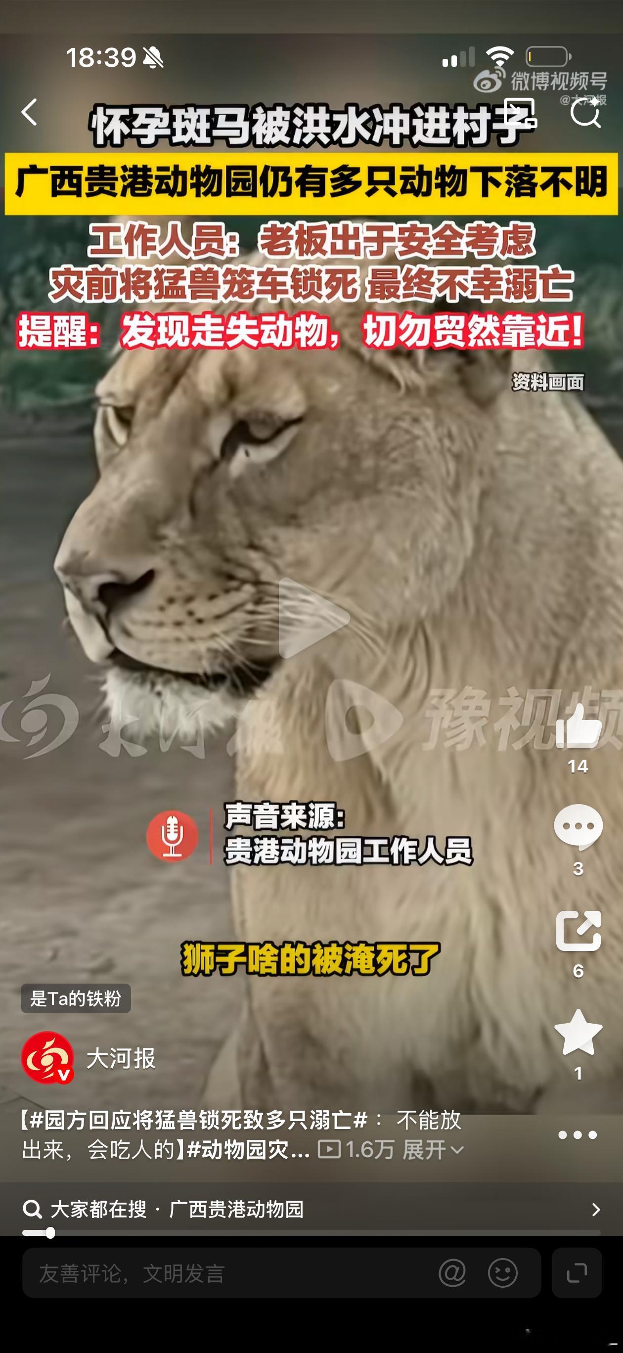 动物园灾前将猛兽锁死致多只溺亡晕死，居然很多人还在吐槽老板。谁懂他的难处。为防止