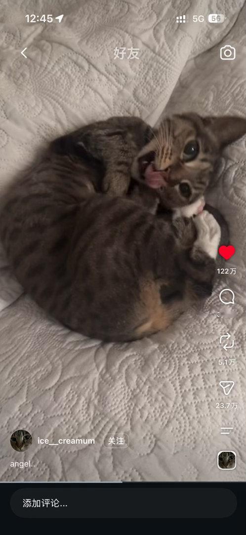 女孩我保证你是天使👼 ​​​
