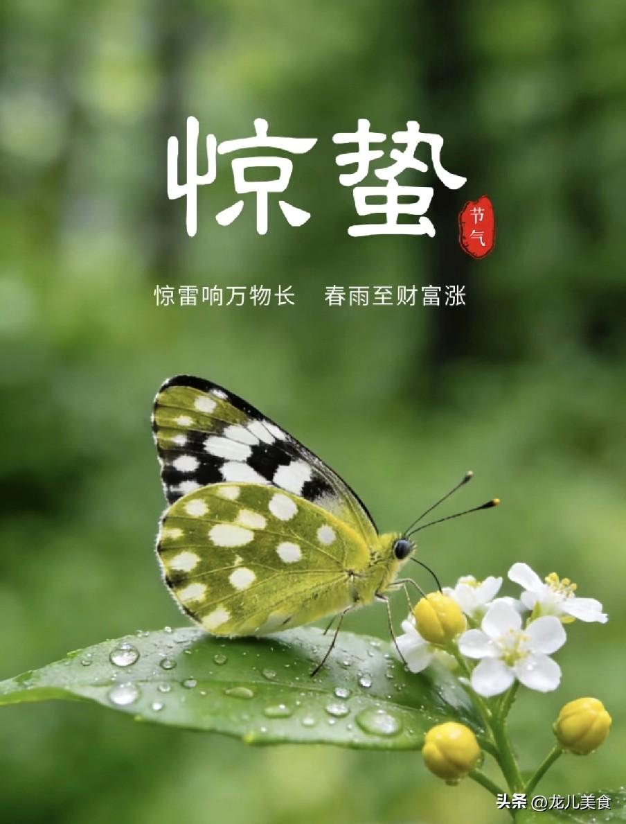 白天惊蛰倒春寒，晚上惊蛰三月暖，明日惊蛰在几时？下雨好不好？

 
“微雨众卉新