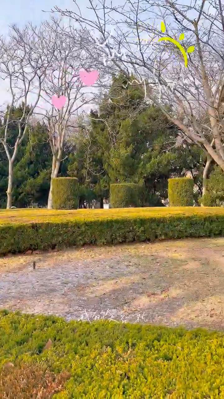 你是春天的一朵花，随风儿吹到天涯。我的笑就像会能，我的笑家像云宵。品爱知事的年华