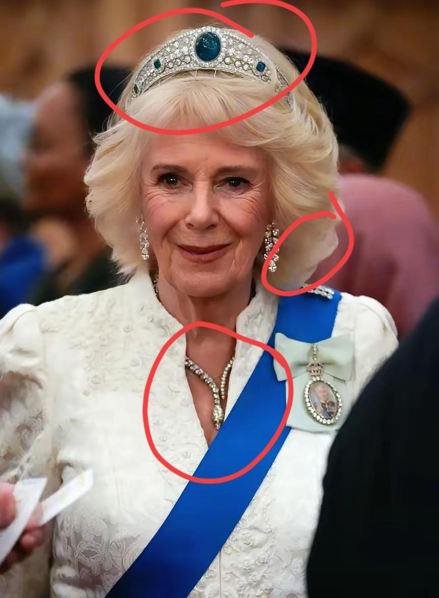 卡米拉这佩戴的珠宝，多少有点夸张！
为何？因为看起来挺土豪，没有太多的美感，而是