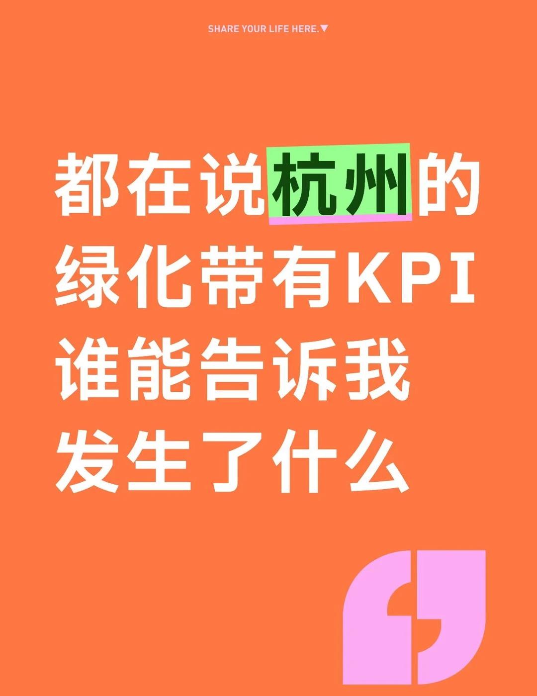 都在说杭州的绿化带有KPI
谁能告诉我发生了什么