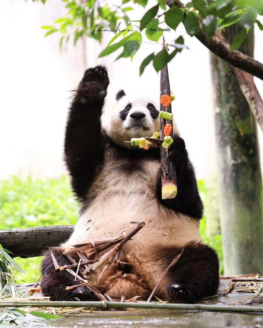 每天早起打卡早上好鸭～ 