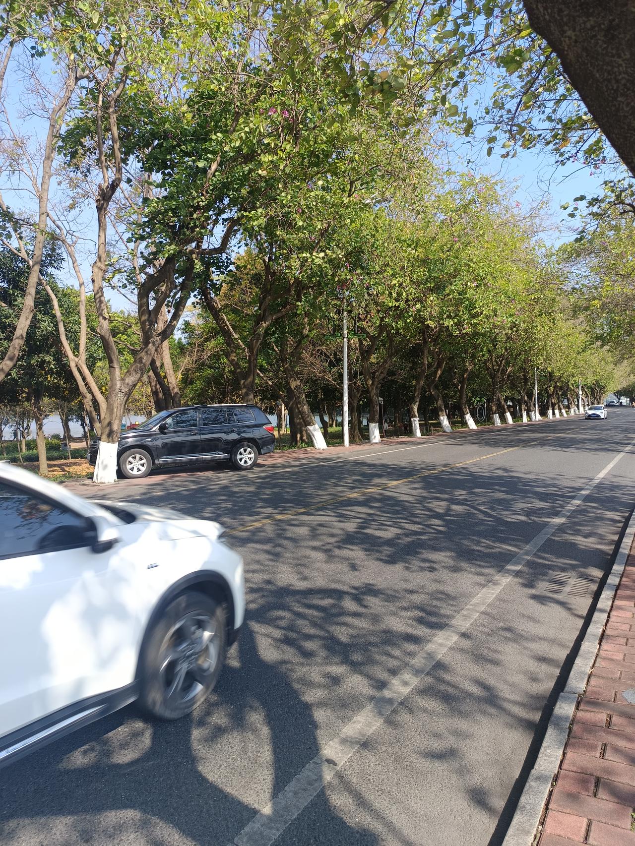 家人们谁懂？
为什么现在不是节假日，却有这么多人去七星岩？