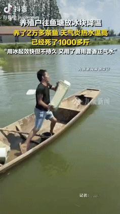 “人怎么能这么聪明！”湖南岳阳，一男子有20多亩鱼塘，养了近20000条鱼，但是