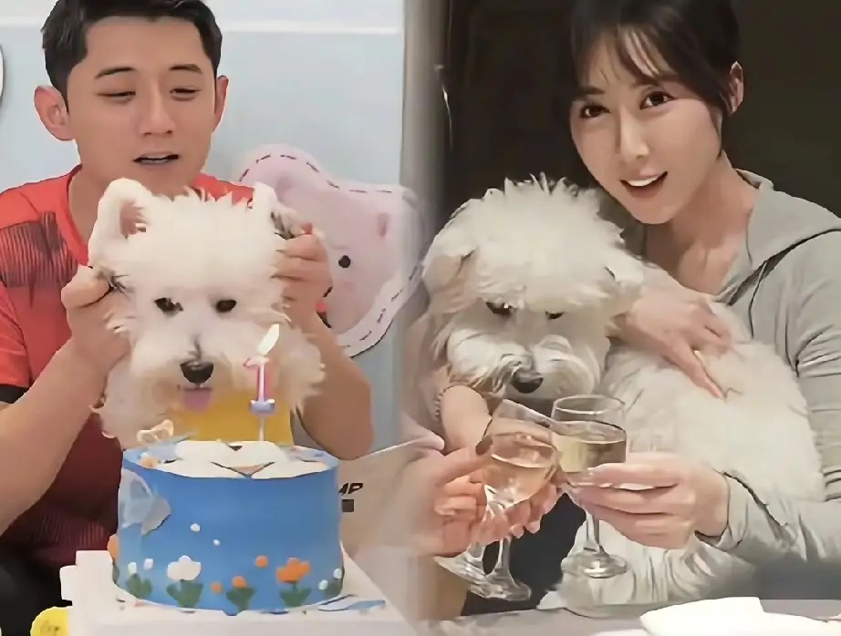 张继科和张蕊现在也不遮不掩了，两人参加活动在杭州十八棵御茶园拍照，大手拉小手，女