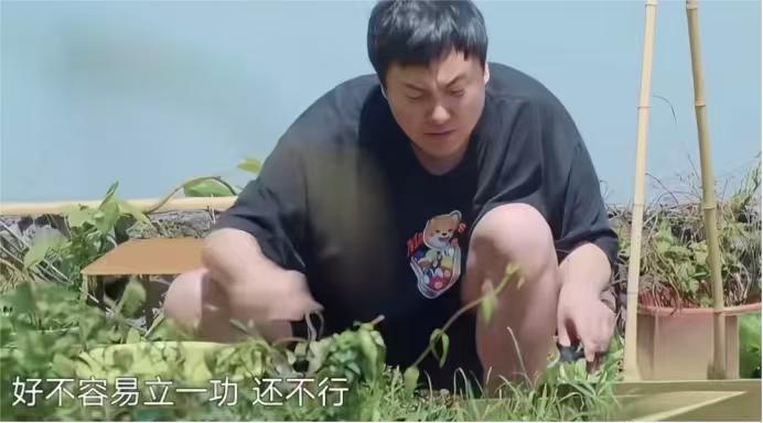 沈腾：“咱几个菜需要韭菜？”

黄磊：“你多弄点吧。”

沈腾爬楼梯一步一“哎呀