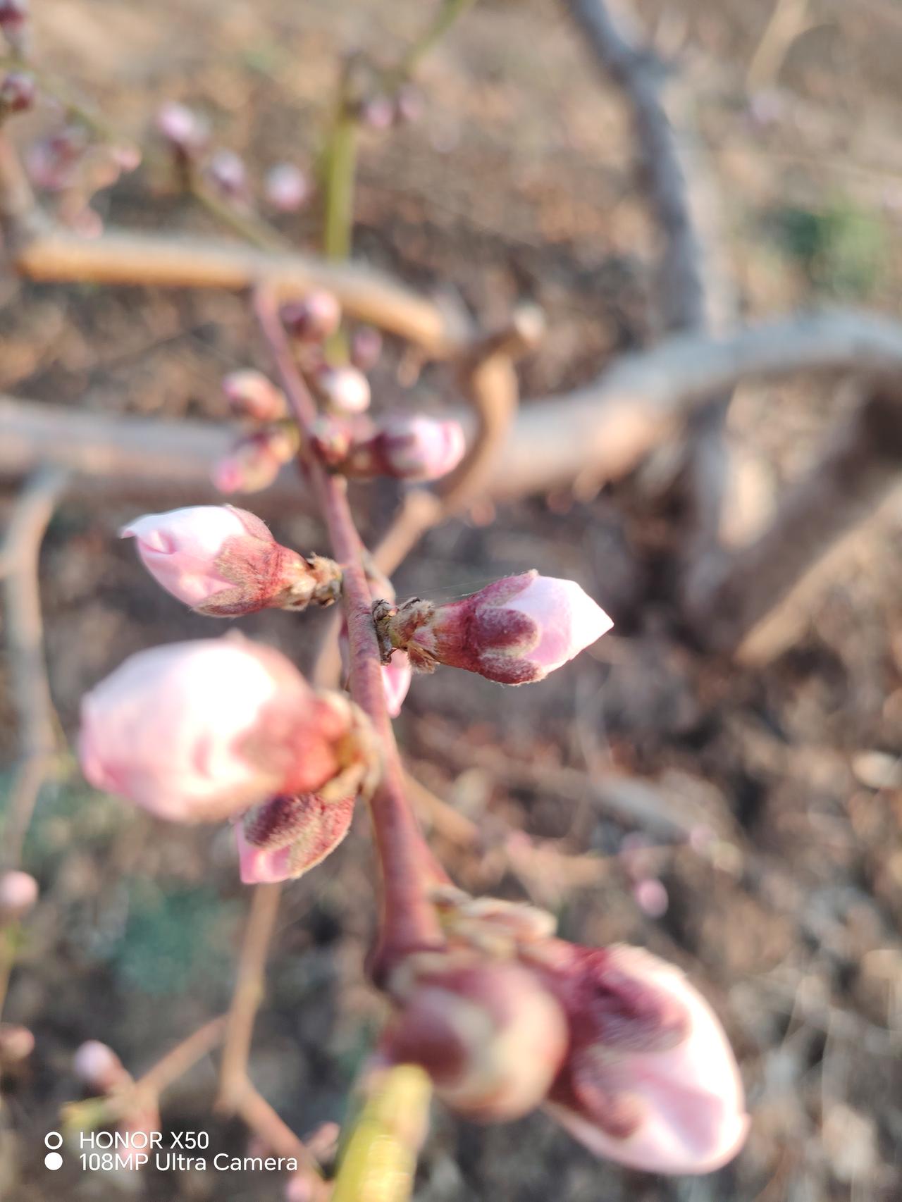 春日生活打卡季 春日生活，就是要找到属于自己的快乐角落。不用去人挤人的远方，在家