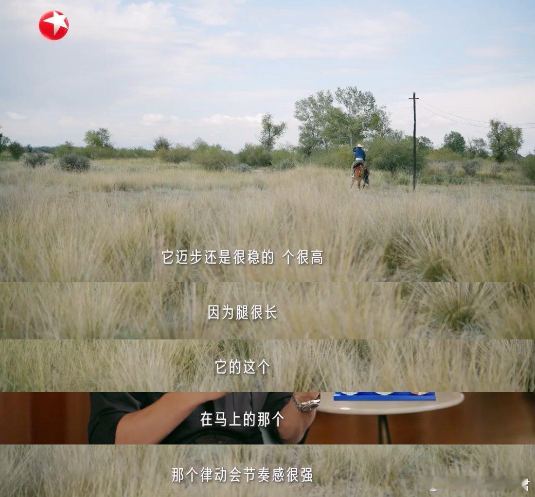 我的阿勒泰超强售后 闭眼听听谁在唱歌 像看阿勒泰番外！阿爸、踏雪、巴太的身影全在