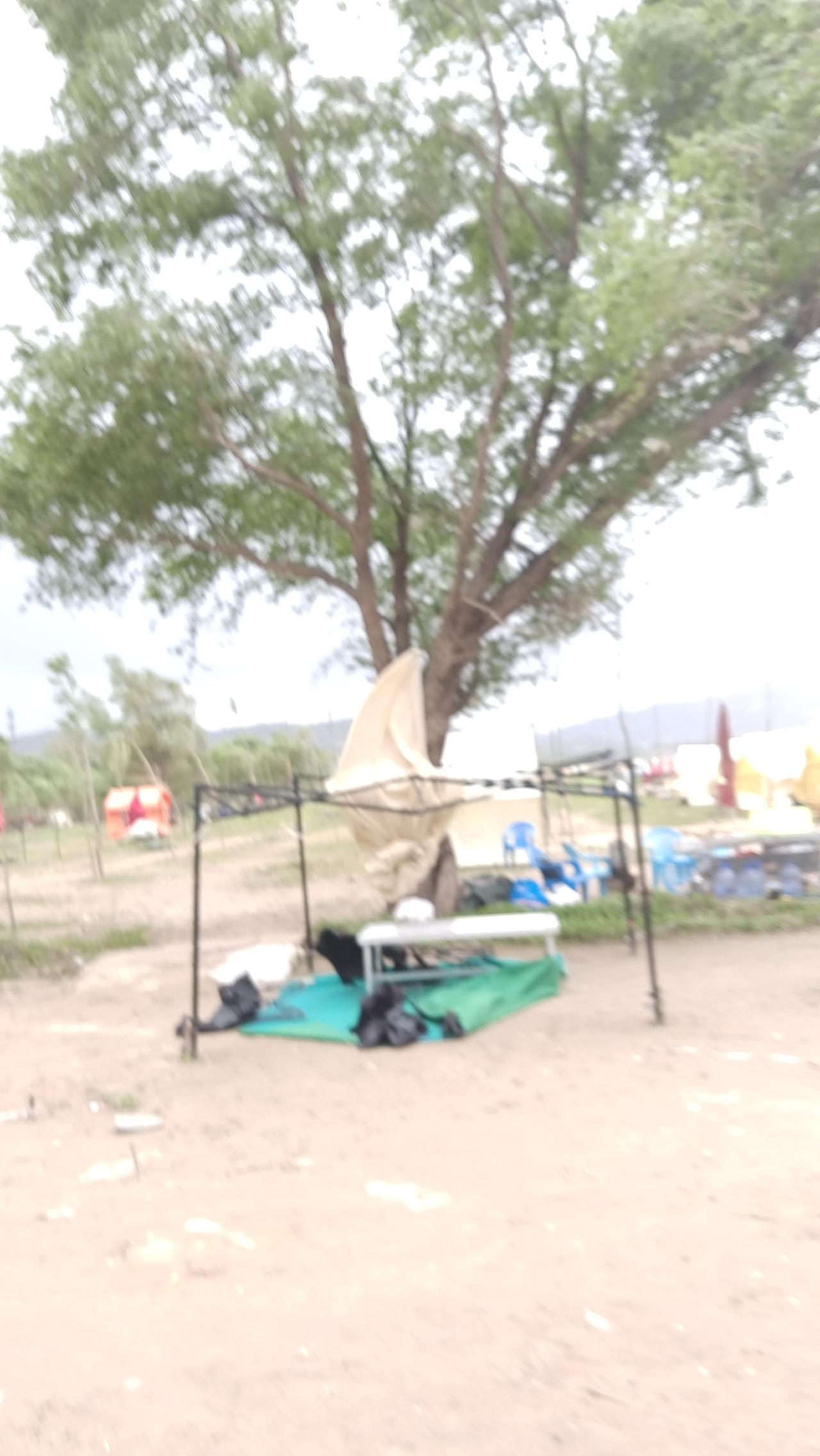 记录我的2026 露营小窝，绿意盎然，享受自然时光！🌳🏕️突然风雨交加 仓惶