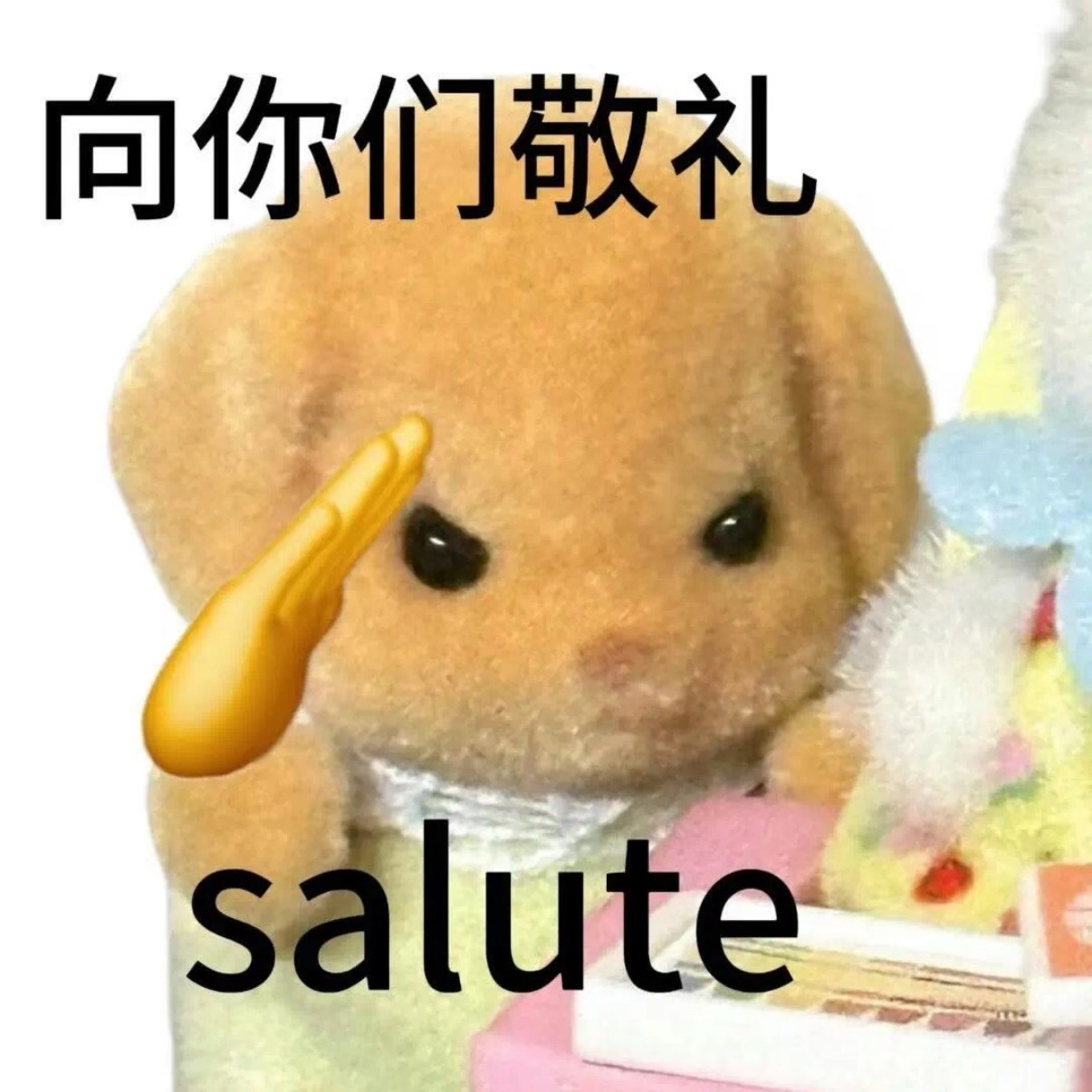 咋嫩萌！敬礼小狗🫡 