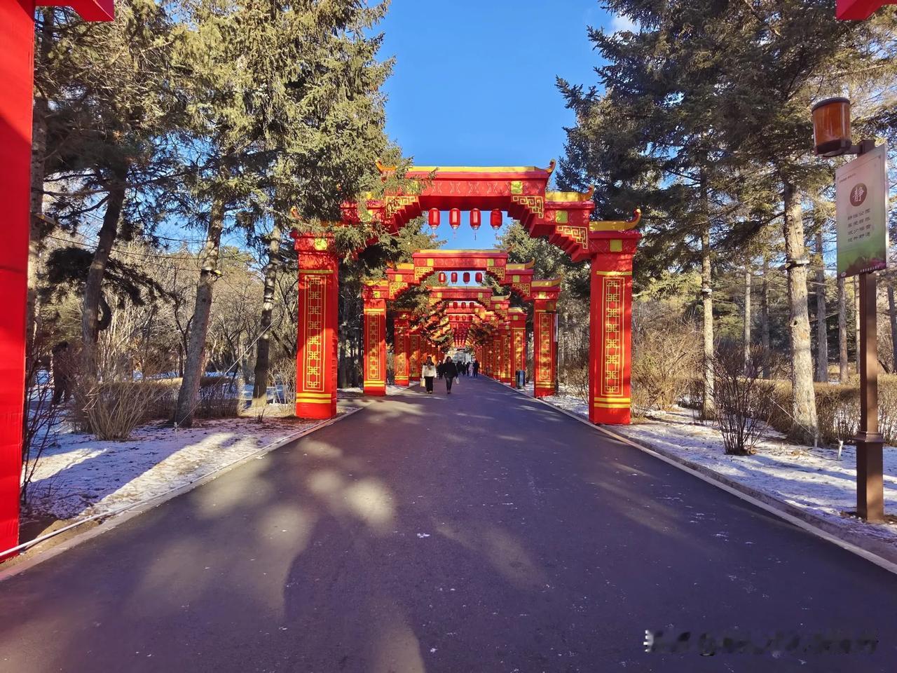 今年南湖公园很喜庆，2号门的喜迎新春大红灯笼高高挂彩灯迎接游客，一直走进去，就是