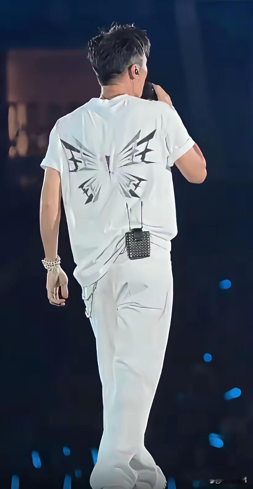 谢霆锋穿了件藏满心思的衣服——八个"王"字拼成蝴蝶，暗合王菲生日8月8日，翅膀里