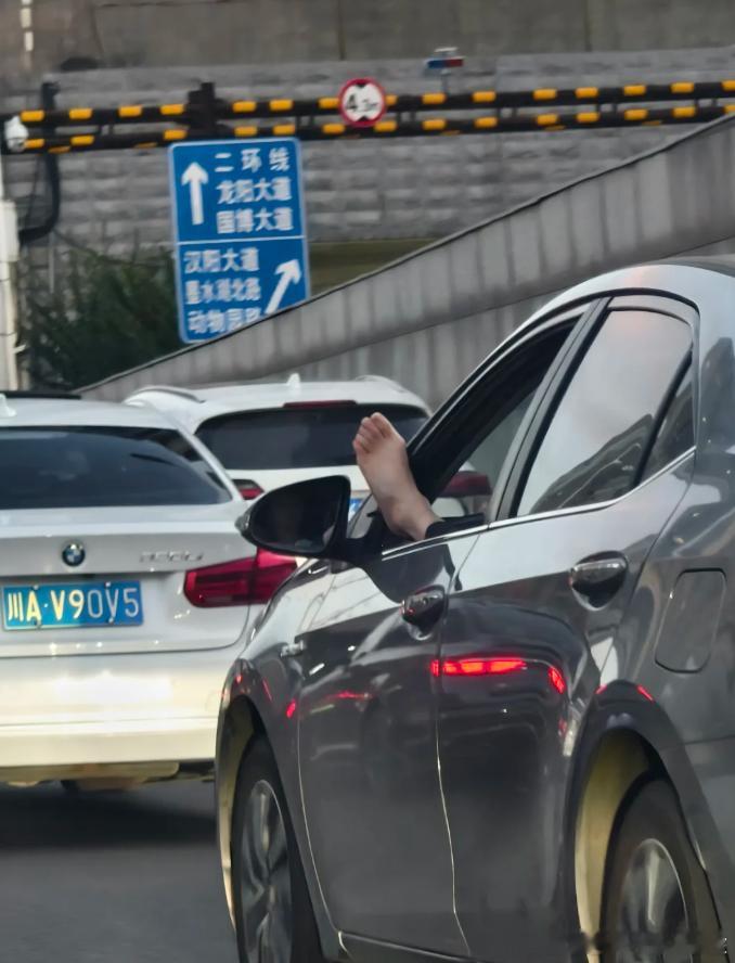 虽然有点儿味儿，但是我还要说，这种开车方式，你至其他人于何地？？？ ​​​​太不