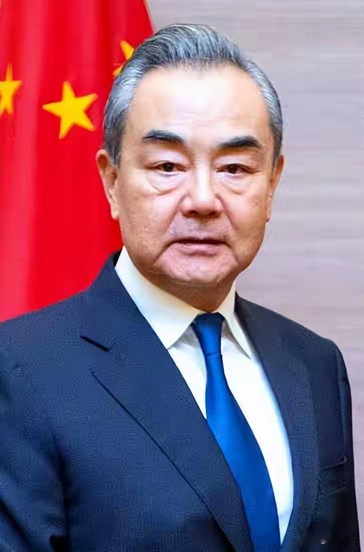 菲律宾十二生肖当属猪，劣根性尽显，无骨、短视、贪利，三寸金莲的小脚式国家也想搅局