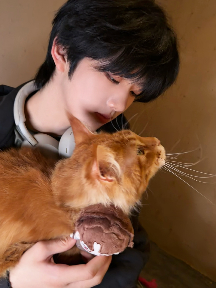 杨博文张函瑞抱的同一只猫 原来杨博文张函瑞抱的是同一只猫！博瑞又一起出去玩儿一起