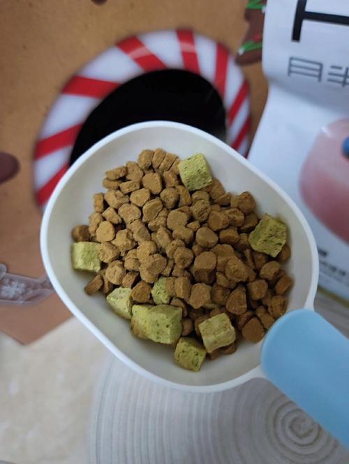 千万别随便对别人好！邻居知道我家养猫后天天找我借猫粮，但是一次都没还过，我就拒绝